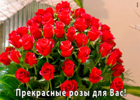 Успех чувашского регионального отделения СПР